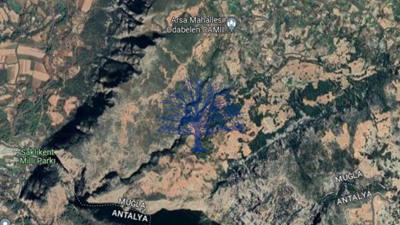 Seydikemer Arsaköy Mh. satılık arazi 3692m² Fethiye 45km müstakil tapu
